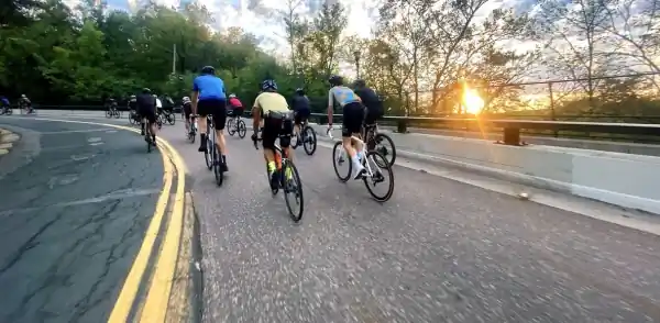 Angry Catfish Group Rides organization logo